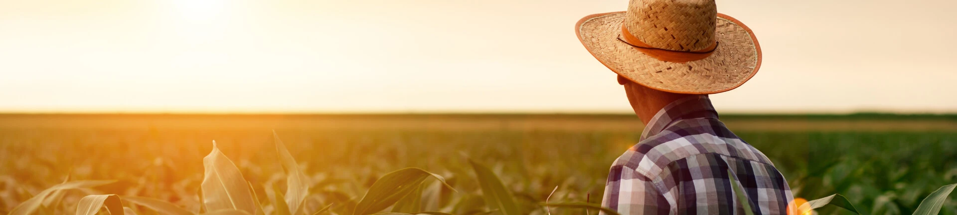 Agricultura